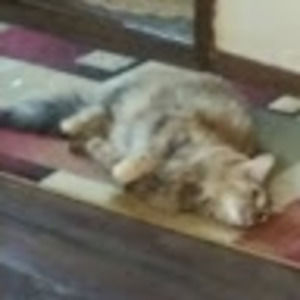 Meet your Posher, Mary